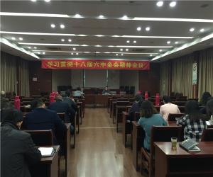 城投公司學(xué)習貫徹十八屆六中全會精神會議