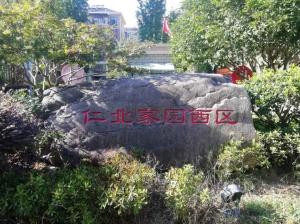 守護(hù)綠水青山！公司以“奔跑的姿態(tài)”加速推進(jìn)“污水零直排”建設(shè)任務(wù)